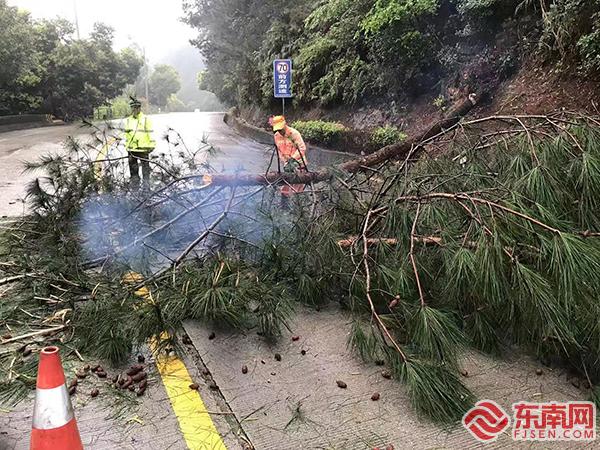 龙岩公路部门：春耕时节保路畅 公路绿化焕新颜(图1)