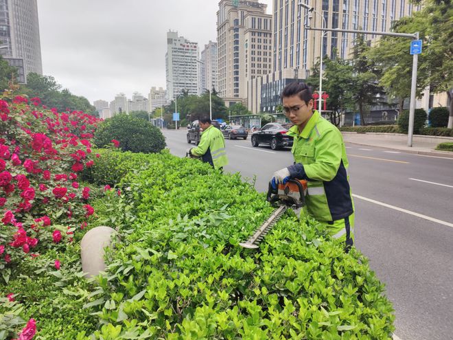 青岛市市南区   融“绿”于城翻开绿化养护新画卷(图4)