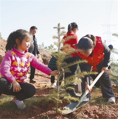 植树造林 绿化pp电子祖国(图4)