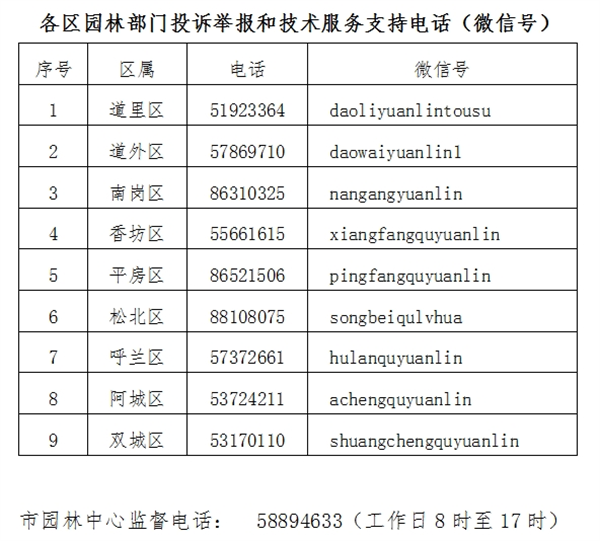 举报砍树最高奖励1万元！哈尔滨市多部门联动整治损害绿化行为(图1)