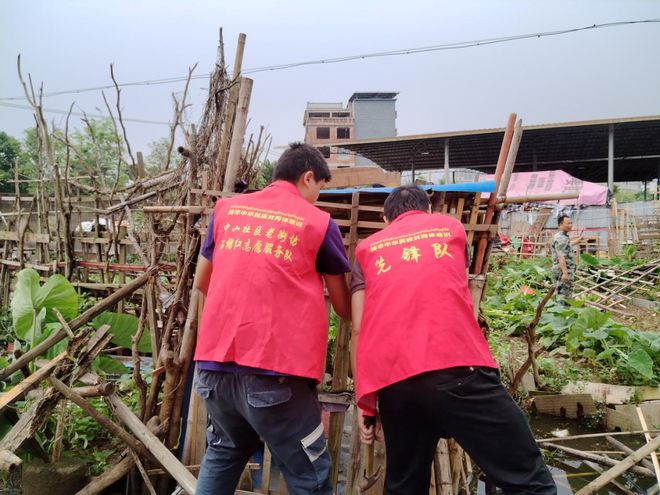 在绿化带里种菜？钦州某小区周边“圈地种菜”乱象被整治了…(图2)