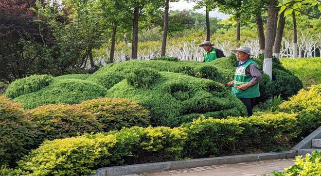 泰安市园林绿化管理服务中心：节日不打“烊”扮靓城市忙(图1)