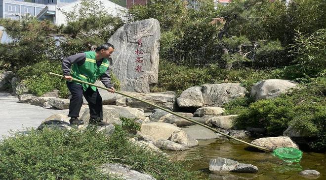 泰安市园林绿化管理服务中心：节日不打“烊”扮靓城市忙(图3)