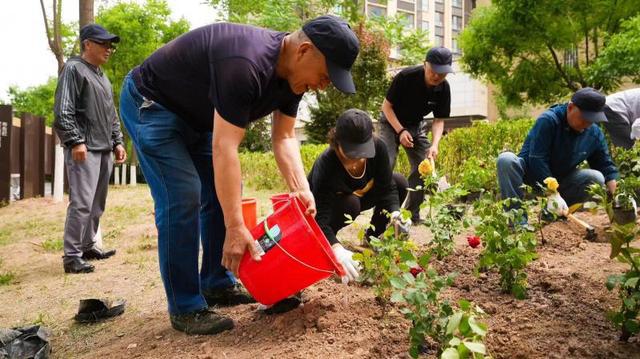 植被覆盖率超过50% 潞源街道居民合力打造“花园式街道”(图2)