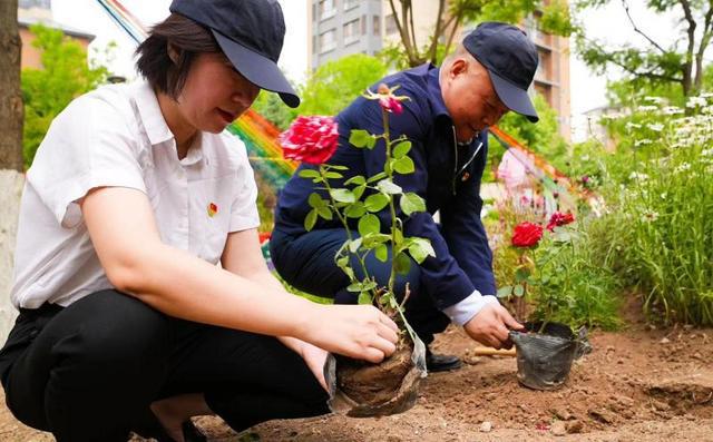 植被覆盖率超过50% 潞源街道居民合力打造“花园式街道”(图3)