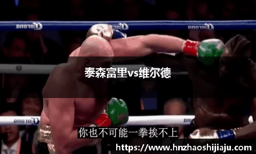 泰森富里vs维尔德